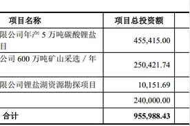 豪募80亿大投阿根廷盐湖提锂项目，西藏珠峰营收要增4倍冲百亿元？图片