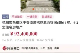 杭州史上“最贵法拍房”两度流拍，将进入变卖程序图片
