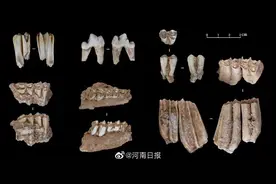 河南鲁山仙人洞遗址发现3.2万年前现代人头骨图片
