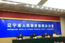 数字辽宁建设推进落实 初步确定重点项目491个图片