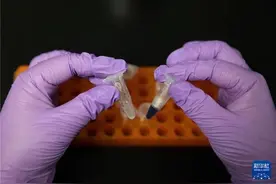 人类首次！中国科学家用二氧化碳制造淀粉，比种庄稼更快更高效图片