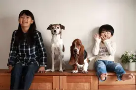 凌乱的家庭，养不出自律的孩子图片