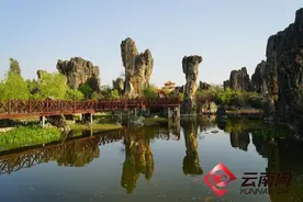 石林杏林大观园：打造旅游康养新地标图片