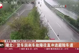 交管部门：出行谨防车辆带病行驶——湖北  货车因刹车故障径直冲进避险车道视频封面