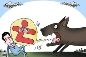 世界狂犬病日丨一起聊聊关于狂犬病的那些事儿图片
