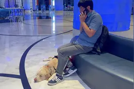 因携带导盲犬，视障人士入住珠海长隆企鹅酒店受阻，当事人：经常遇到，沟通后都理解图片