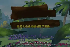 哈尼人在唐代就创造了梯田视频封面