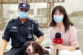 视频｜地铁上最快乐的“打工人”竟然是它？警犬“汪汪队”来啦图片