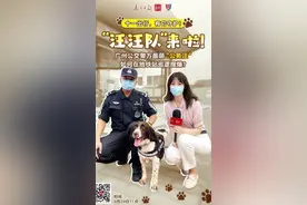 视频｜地铁上最快乐的“打工人”竟然是它？警犬“汪汪队”来啦图片