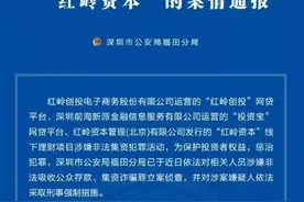 4500亿元P2P被立案调查！“网贷教父”神话破灭图片