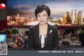 新开发银行总部大楼在沪正式交付使用视频封面