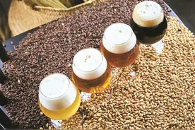 继新茶饮之后 精酿啤酒形成新消费市场图片