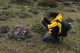 植物科普短视频博主陈婉蓉：“我不是花神”图片