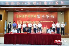 桂阳县举行2021年产业项目集中签约仪式图片
