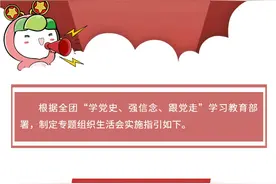共青团“学党史、强信念、跟党走”专题组织生活会怎么开展？一起来看看吧！图片