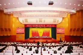 龙华区二次党代会闭幕 选举产生新一届区委和区纪委领导班子图片