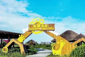 成都首个超大型宠物公园来了图片