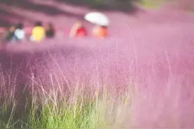 最全攻略！国庆假期，福州这些赏秋好去处等你来图片