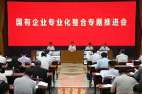 国务院国企改革领导小组办公室专题推进国有企业专业化整合图片