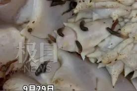网购帝王蟹上现大量活虫，西安涉事商家：正常伴生物，不影响食用图片
