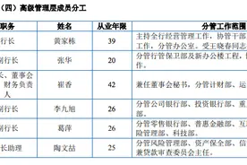 齐鲁银行高管大变动：黄家栋升任董事长，张华升任行长图片