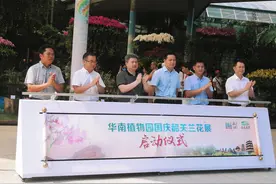 国庆韶关兰花展走进广州华南植物园！数千株兰花娇艳惹人醉图片
