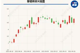 攀钢钒钛拟46亿收购西昌钒制品获股东会通过 进一步整合钒资源业务图片