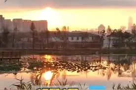 我们都在看日出！今天清晨！云南人的朋友圈被这一幕幕刷屏啦图片