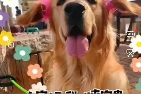爱心接力！悬赏5000元，哈尔滨全城寻找“李富贵”图片