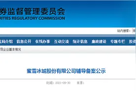 “平价茶饮”要被你“喝”上市？蜜雪冰城拟IPO，接受广发证券辅导，曾获高瓴资本投资图片