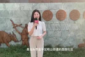Vlog|乡村振兴党引领③西陇：党建“微力量”点燃乡村“新变靓”图片