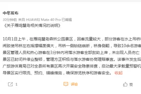 突发！河南中牟一景区吊桥断裂：十余人落水无伤亡，景区停业整顿图片
