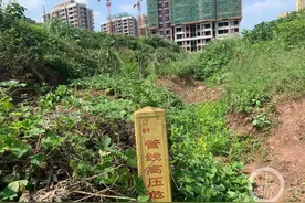 发现有人在已征未用土地上私自开垦种菜 可以向生态环境局举报图片