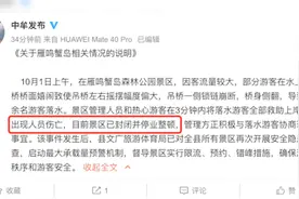 景区吊桥绳索断裂致10多名游客落水，景区停业整顿视频封面