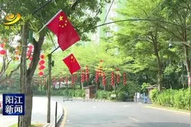 阳江市民心声：祖国母亲，我爱您！图片