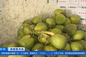 突然！海南椰子，供不应求！价格最高涨到15元/个！啥情况？图片