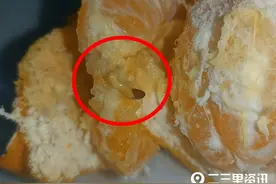 从延安万达广场永辉超市买的丑桔中吃出活虫，顾客：想想就觉得恶心图片
