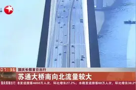 国庆长假首日出行：苏通大桥车流量突破13万辆视频封面