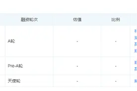 顺为资本带头入场，“假发”赛道生变图片