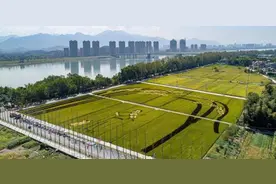 桐庐山水艺术季：“浙里”的山村，水天相映是艺境图片