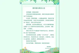 河南某景区吊桥断裂多人落水 景区：排查所有安全隐患点图片