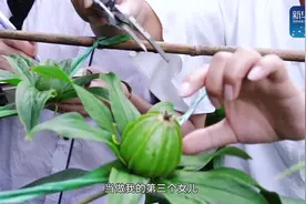 新华全媒+丨“中华好儿女”系列短视频：热爱视频封面