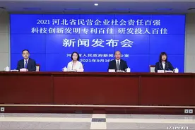 2021河北省民营企业社会责任百强及科技创新发明专利百佳、研发投入百佳榜单出炉！（附完整名单）图片