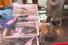 警惕！被鱼鳍刺伤，东莞老伯被截指图片