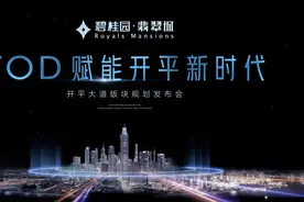 业内权威人士云集，共同探讨开平大道板块规划发展图片