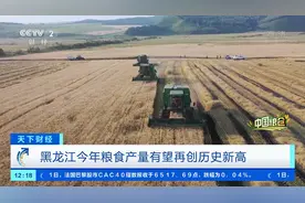 中国粮仓丨黑龙江省副省长王永康：中国人每9碗饭就有1碗来自黑龙江，黑龙江粮食产量连续10年全国第一图片
