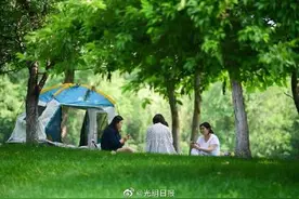 该怎样建设森林城市？图片