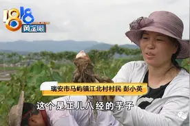 爱跳舞的小英夫妻，直播间里帮“带货图片