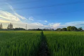 一群年轻人在上海郊区包了一栋别墅，想要重构“附近”生活图片
