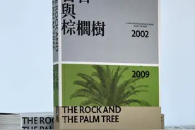玫瑰开在无情的枪炮里：中国战地摄影师亲历前线的生命与疮痍图片